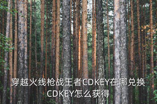 穿越火线枪战王者CDKEY在哪兑换CDKEY怎么获得