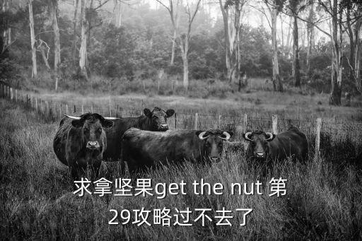 求拿坚果get the nut 第29攻略过不去了