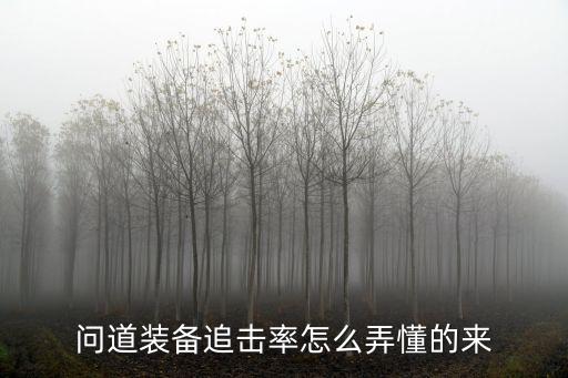 问道手游武器追击率怎么弄，问道我要封印90装备追击率具体怎么做