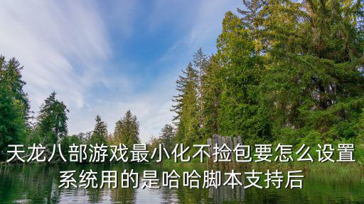 天龙八部游戏最小化不捡包要怎么设置系统用的是哈哈脚本支持后