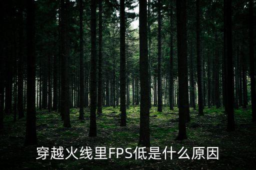 穿越火线里FPS低是什么原因