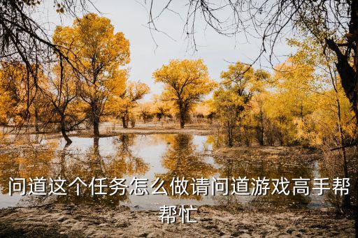 问道这个任务怎么做请问道游戏高手帮帮忙