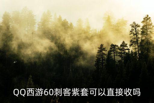 QQ西游60刺客紫套可以直接收吗