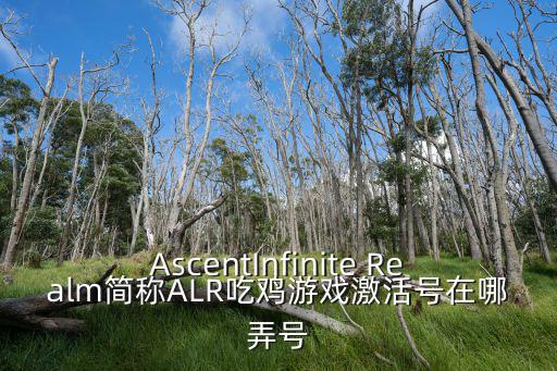 AscentInfinite Realm简称ALR吃鸡游戏激活号在哪弄号