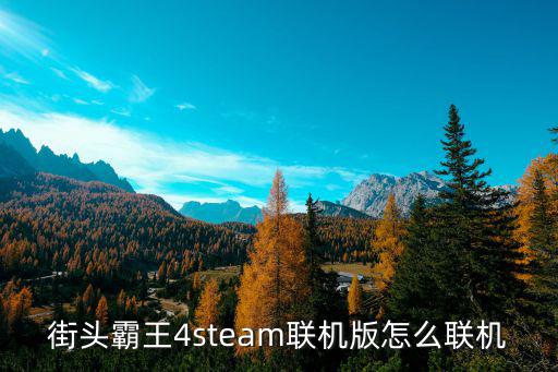 街头霸王四手游怎么联机，街头霸王4steam联机版怎么联机