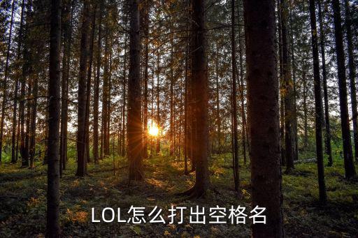 手游lol怎么打空格名字，LOL怎么打出空格名