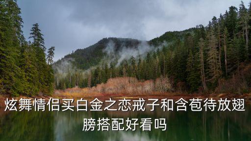 炫舞情侣买白金之恋戒子和含苞待放翅膀搭配好看吗