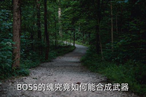 BOSS的魂究竟如何能合成武器