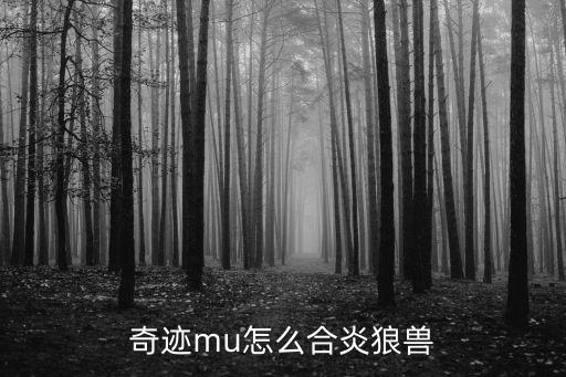 手游奇迹mu怎么组合，奇迹mu怎么合炎狼兽