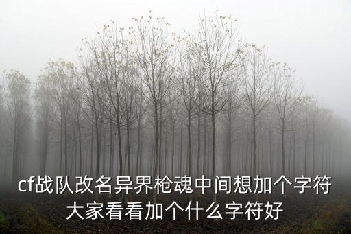 cf战队改名异界枪魂中间想加个字符大家看看加个什么字符好