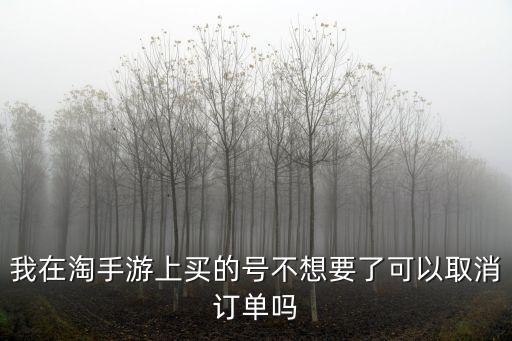 我在淘手游上买的号不想要了可以取消订单吗