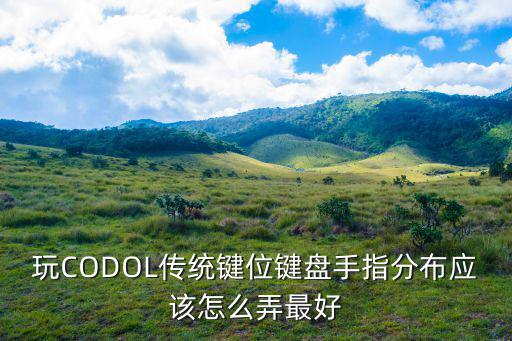 玩CODOL传统键位键盘手指分布应该怎么弄最好