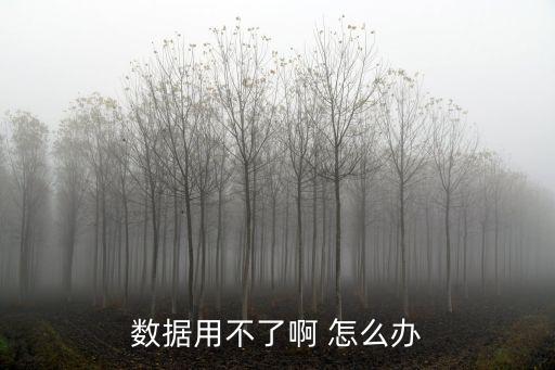 数据用不了啊 怎么办