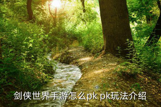 剑侠世界手游怎么pk pk玩法介绍