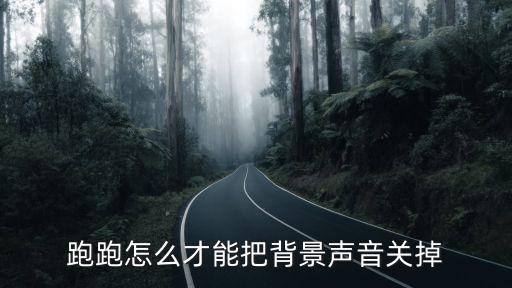 跑跑怎么才能把背景声音关掉