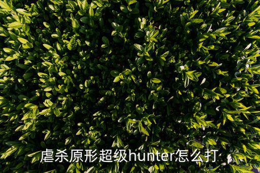 虐杀原形超级hunter怎么打