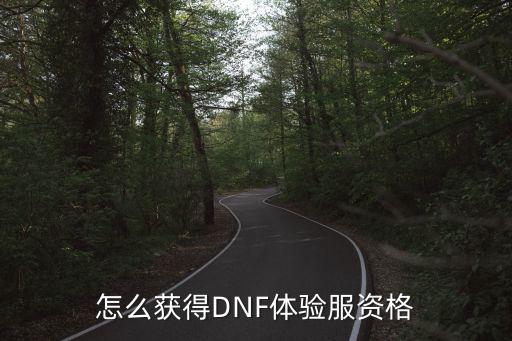 韩服dnf手游测试服资格怎么搞，DNF测试服资格怎么获得