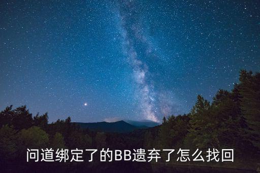 问道绑定了的BB遗弃了怎么找回