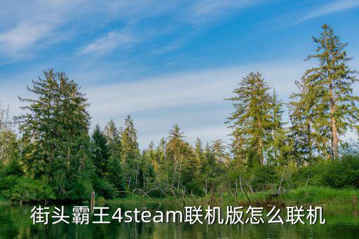 街头霸王4steam联机版怎么联机