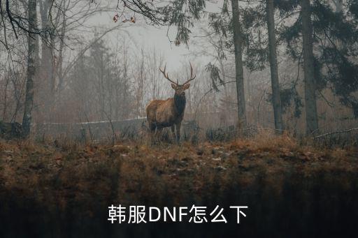 韩服DNF怎么下