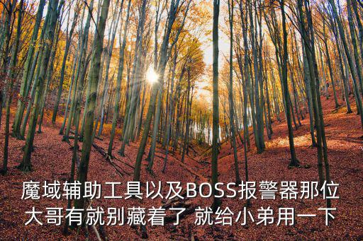 魔域辅助工具以及BOSS报警器那位大哥有就别藏着了 就给小弟用一下