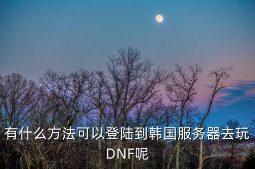 有什么方法可以登陆到韩国服务器去玩DNF呢