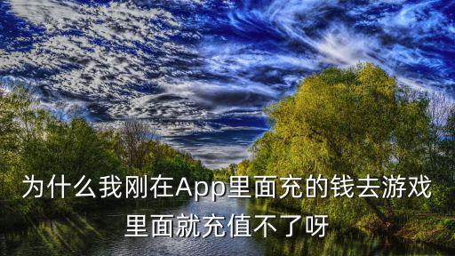 为什么我刚在App里面充的钱去游戏里面就充值不了呀