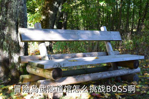 冒险岛武陵道馆怎么挑战BOSS啊