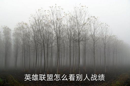 英雄联盟怎么看别人战绩