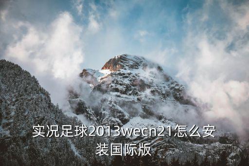 实况足球2013wecn21怎么安装国际版