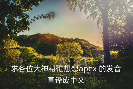 求各位大神帮忙想想apex 的发音直译成中文