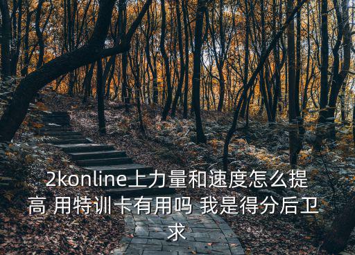 2konline上力量和速度怎么提高 用特训卡有用吗 我是得分后卫 求