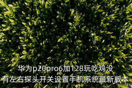 华为p20pro6加128玩吃鸡没有左右探头开关设置手机系统最新版本