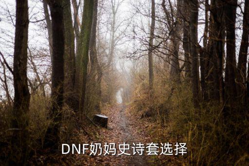 DNF奶妈史诗套选择