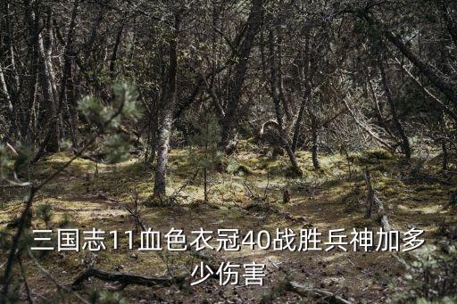 三国志11血色衣冠40战胜兵神加多少伤害