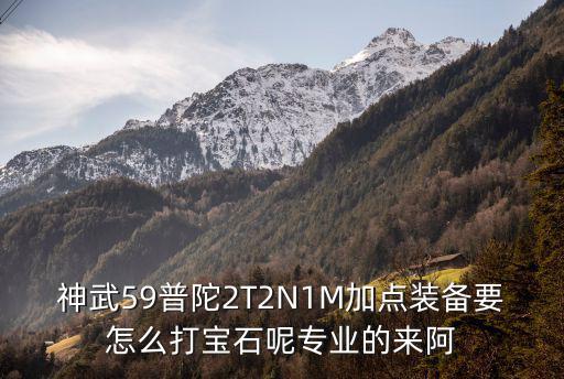 神武手游伙伴普陀怎么打宝石，神武59普陀2T2N1M加点装备要怎么打宝石呢专业的来阿