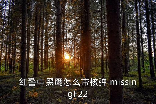 红警中黑鹰怎么带核弹 missingF22