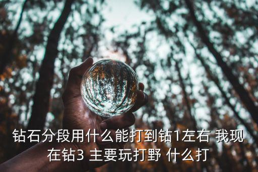 钻石分段用什么能打到钻1左右 我现在钻3 主要玩打野 什么打