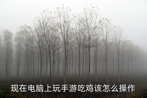 现在电脑上玩手游吃鸡该怎么操作