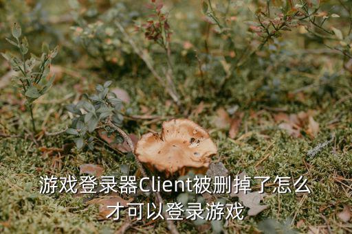 游戏登录器Client被删掉了怎么才可以登录游戏