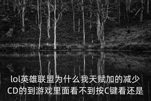 lol英雄联盟为什么我天赋加的减少CD的到游戏里面看不到按C键看还是