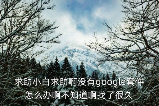 求助小白求助啊没有google套件怎么办啊不知道啊找了很久