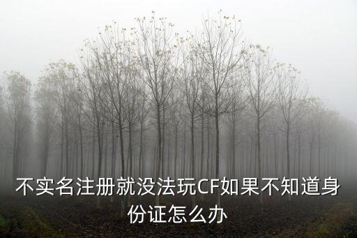 不实名注册就没法玩CF如果不知道身份证怎么办