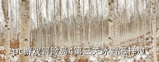 pc游戏冒险岛4第三关冰雪怎样过