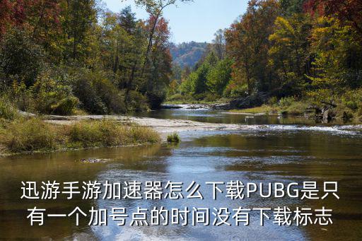 迅游手游加速器怎么下载PUBG是只有一个加号点的时间没有下载标志