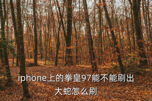 iphone上的拳皇97能不能刷出大蛇怎么刷