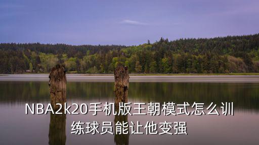 NBA2k20手机版王朝模式怎么训练球员能让他变强