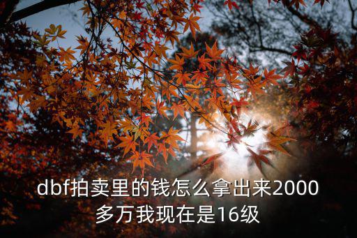 dbf拍卖里的钱怎么拿出来2000多万我现在是16级