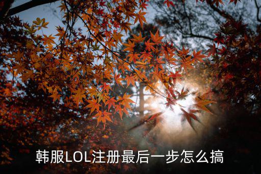 韩服LOL注册最后一步怎么搞