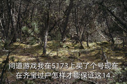 问道游戏我在5173上买了个号现在在齐宝过户怎样才能保证这14